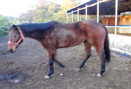 īƮ���� ����