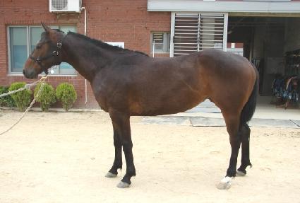 �������� ����