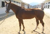 �츮����� (URIUI HUIMANG) ����