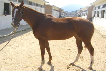 �츮����� ����