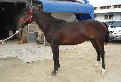 �����ٶ� ����