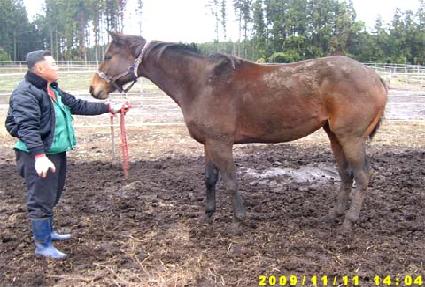 �ǽ����ε� ����