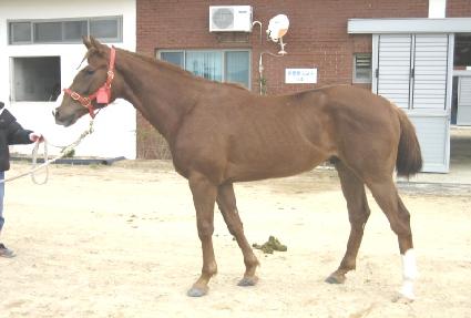 ������ ����