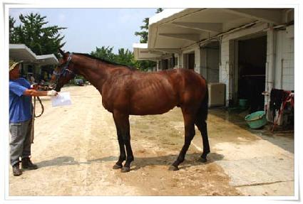 ��ġ�� ����