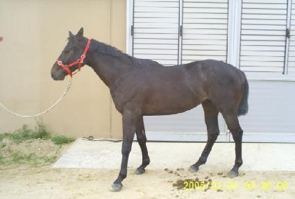 ����Ʈ ����