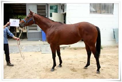 ���� ����