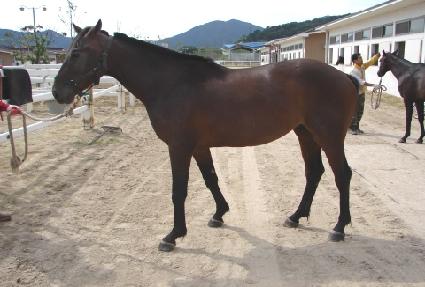 �ϳ��λ� ����