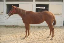 �±������� (TAEGEUK FIGHTER) ����