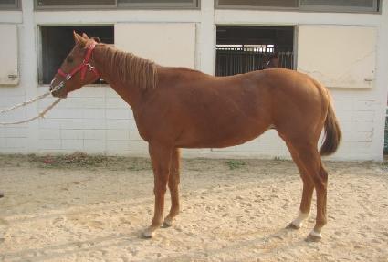 �±������� ����