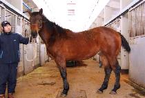 ������� (DAERYUK JEONGBEOL) ����