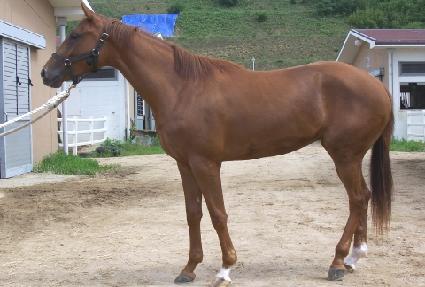 ���� ����