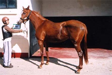 ��ũ�� ����