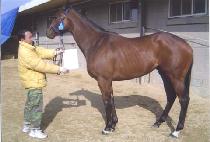 ����Ʈ����ũ���� (JUST LIKE MAGIC) ����