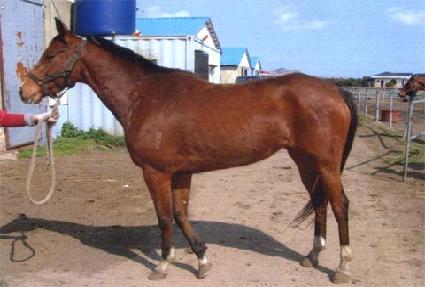 ���ϴ뱳 ����