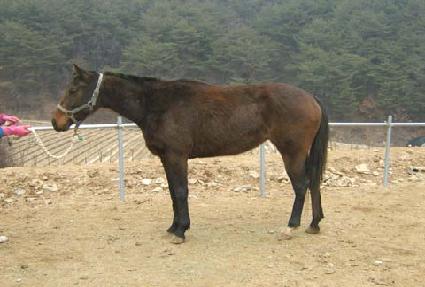 ��±˵� ����