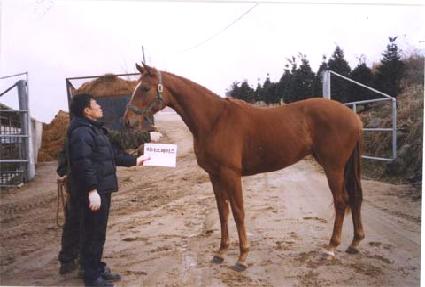 �̳ʽ����̽� ����