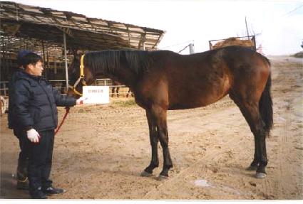 �����׸� ����