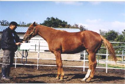 ���Ǿֹ��� ����