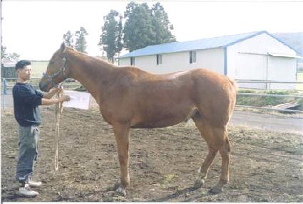 ��Ű�� ����