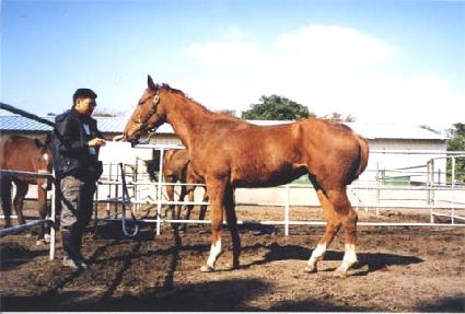 ��Ŀ�Ŀ� ����