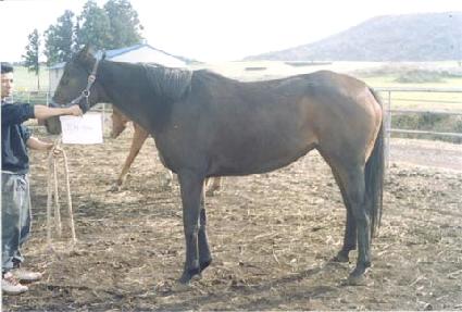 ���ĵ� ����