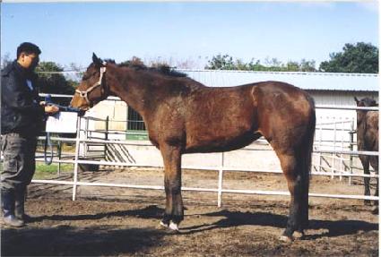 �Ŵ�Ű�� ����