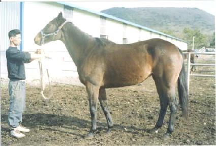 ������������ ����