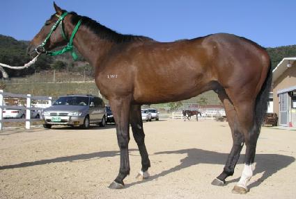 �ϴ���� ����