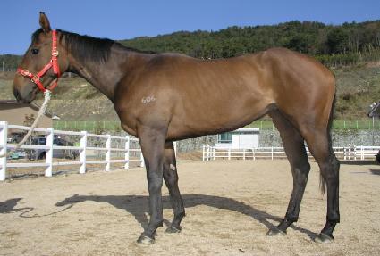 �Ź��� ����