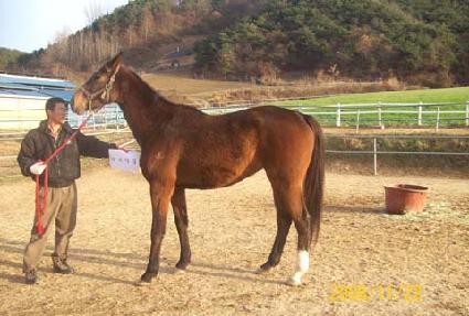 ���ǻ�� ����