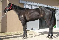 � (DEUNGSEON) ����