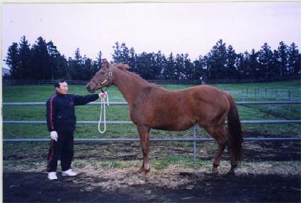 �����Ͻ� ����