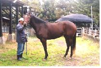 ������ (SO GIDDY) ����