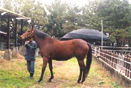 ����¡ ����