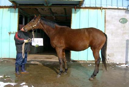 ���ɸ� ����