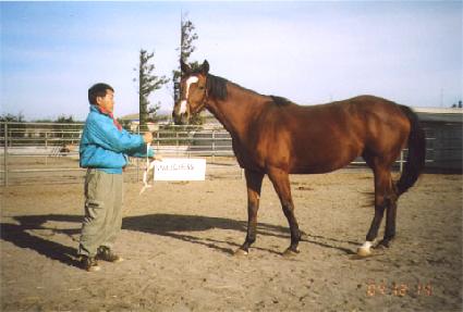 ���ϵ�Խ� ����