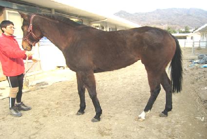 ���̾�� ����