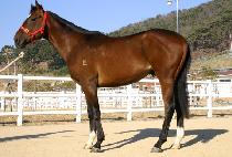 �ҹ���� (BULMUJANGDEUNG) ����