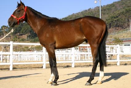 �ҹ���� ����