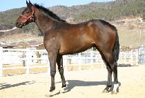 ��ô�� (DAECHEOKJI) ����