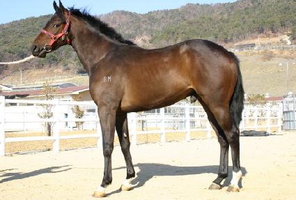 ��ô�� ����