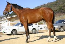 �������� (NANGJUNGJICHU) ����