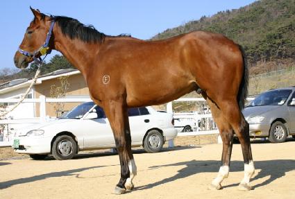 �������� ����