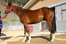 ���� (GUNHAM) ����