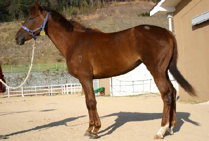 ������ ����