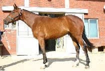 ���鼶 (DONGBAEKSEOM) ����