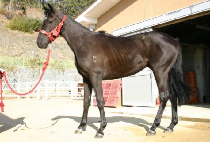 �������� ����