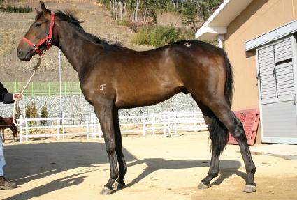 �ٽ´�ä ����