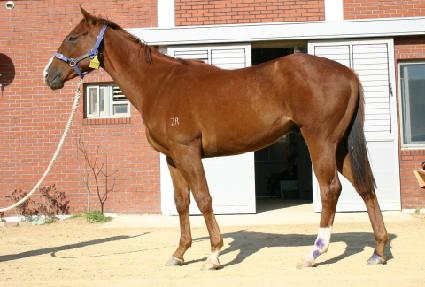 ����� ����