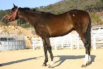 ����ȯȣ (JEONGSANG HWANHO) ����